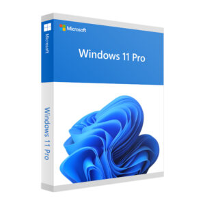 Windows 11 Pro 64 Bits
